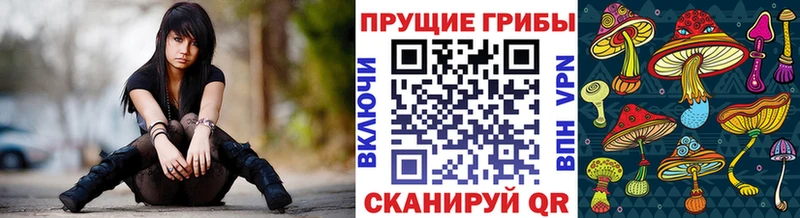 Псилоцибиновые грибы прущие грибы Нарткала