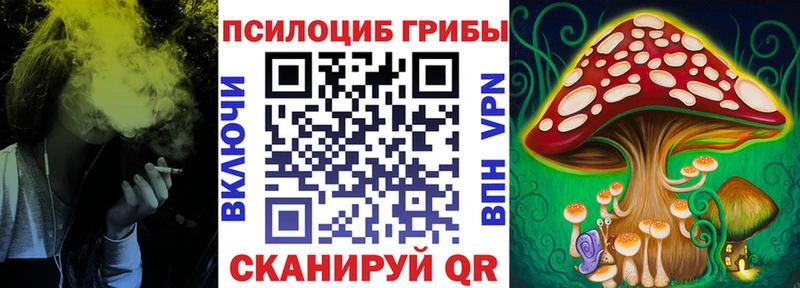 наркошоп  Нарткала  Галлюциногенные грибы GOLDEN TEACHER 