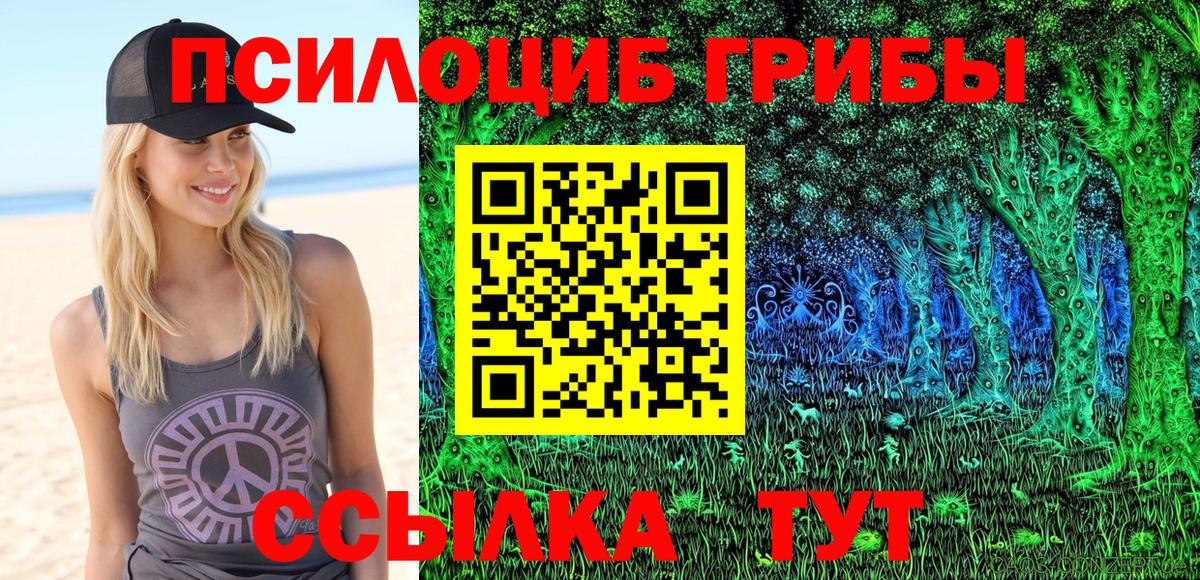 Галлюциногенные грибы MAGIC MUSHROOMS  Галлюциногенные грибы MAGIC MUSHROOMS  цена   Нарткала 