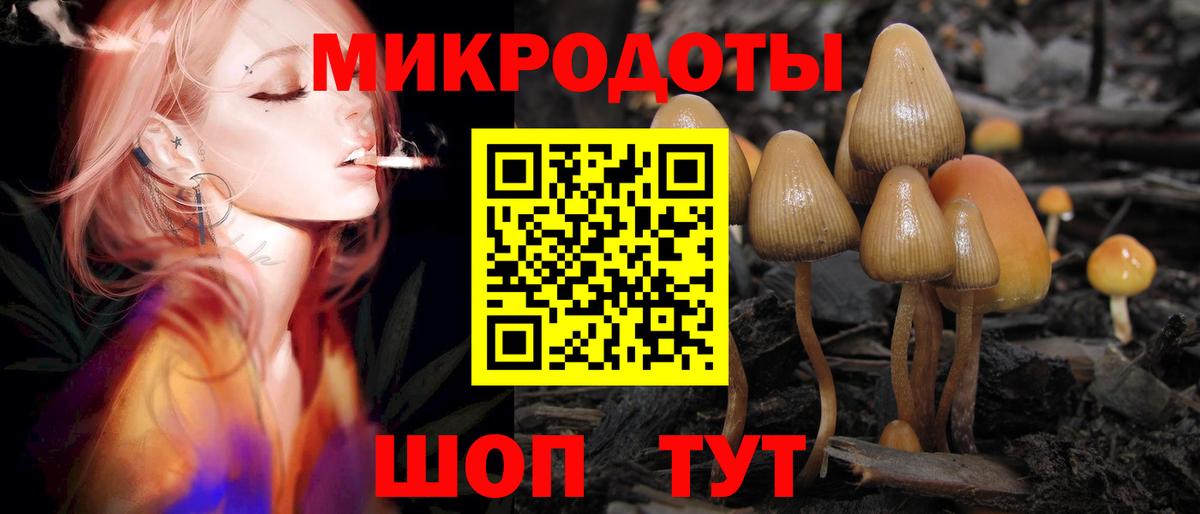 Нарткала  Галлюциногенные грибы Psilocybe  Вход с VPN 